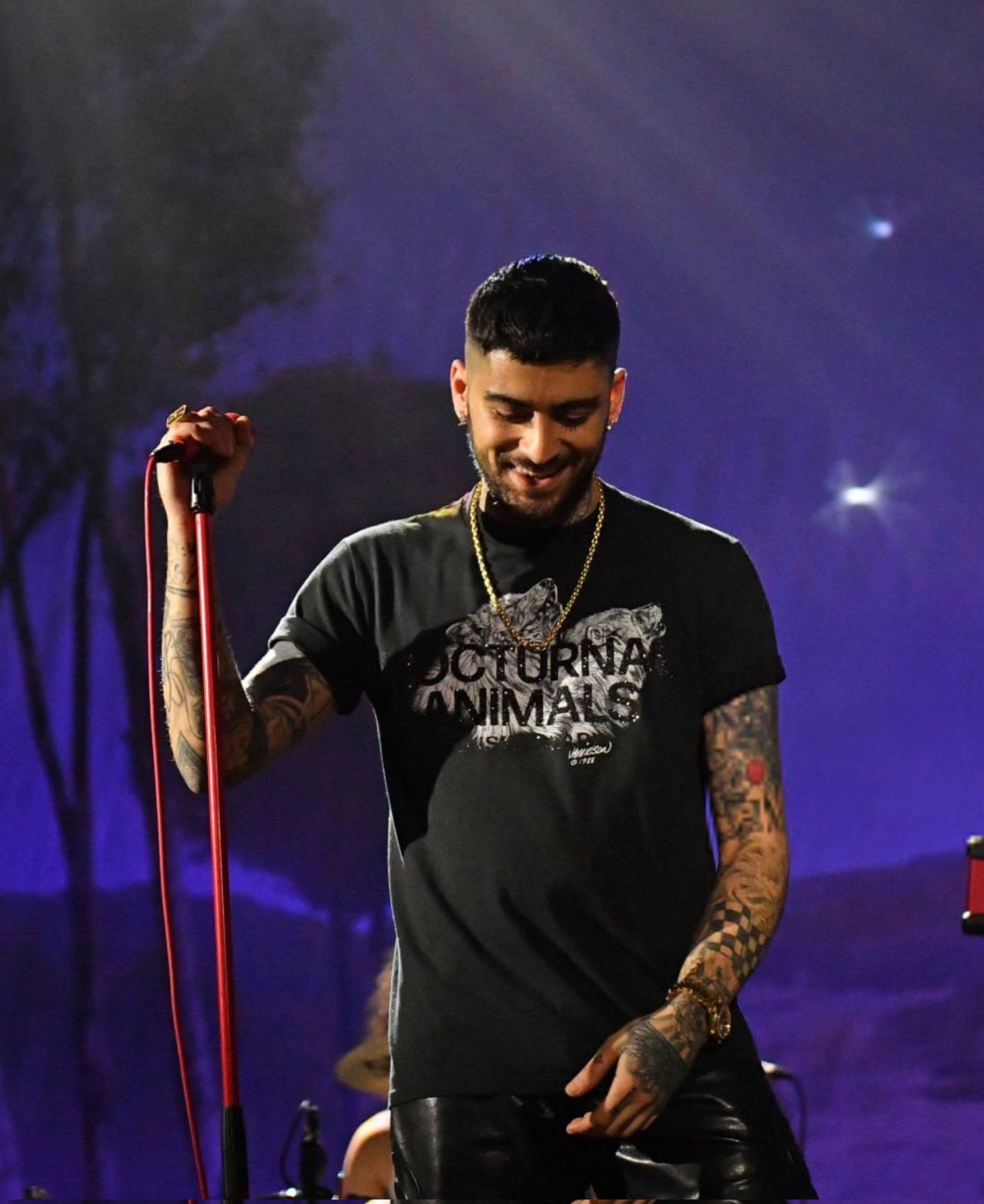 The Future of Live Performances: Will Zayn Malik Embark on a Full Tour?