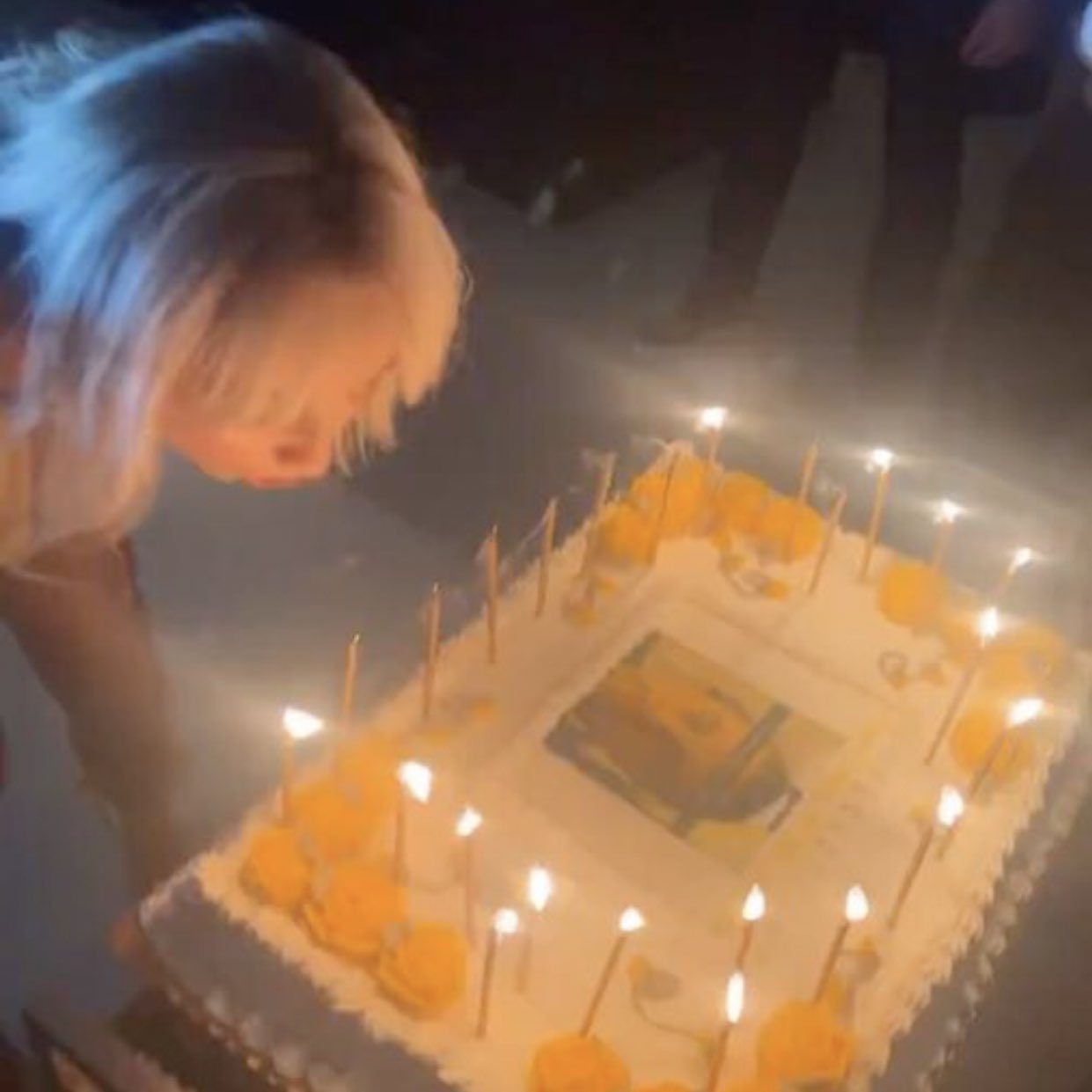 Sabrina Carpenter Roasts Leonardo DiCaprio (and Herself) with Hilarious Birthday Cake.